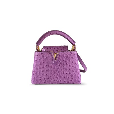 LOUIS VUITTON CAPUCINES MINI N85519 (21*14*8cm) LOUIS VUITTON CAPUCINES MINI N85519 (21*14*8cm)